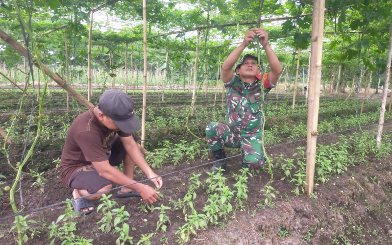 Babinsa Koramil 01 Dumai Kembali Giat Pendampingan Karya Nyata