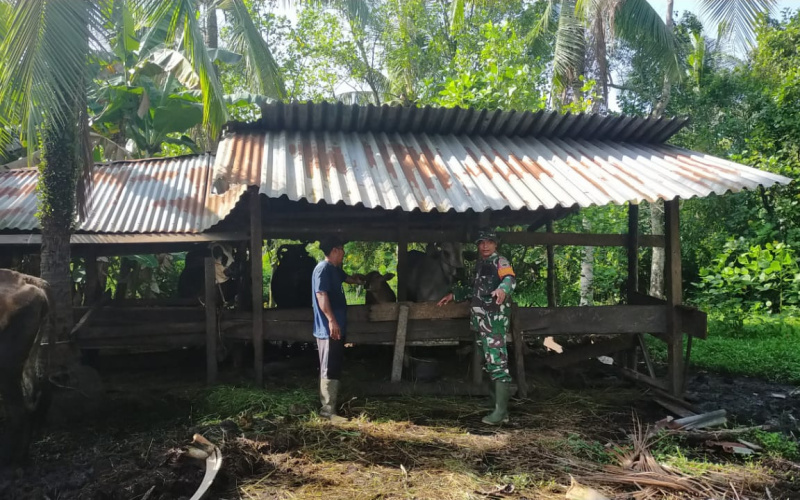 Serda Iwan Sahputra Kembali Sosialisasi Kesehatan di Peternakan