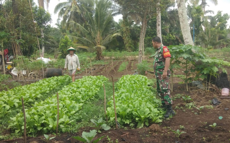 Giat Rutin, Serka Supriadi Karnya Nyata di Kelurahan Sukajadi