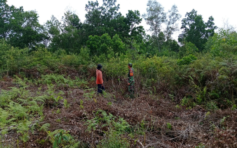 Babinsa Koramil 01 Dumai Rutin Patroli Antisipasi Terjadi Karhutla
