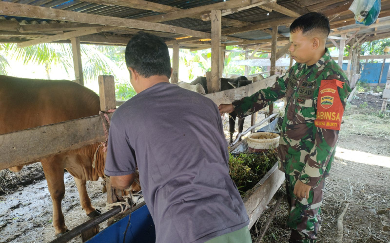 Sertu Sutarno Giat PMK Cek Kesehatan di Peternakan Warga