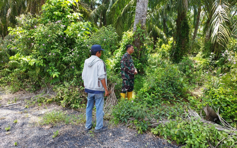Patroli Pencegahan Karhutla Rutin Digaungkan Babinsa Koramil 03 SS
