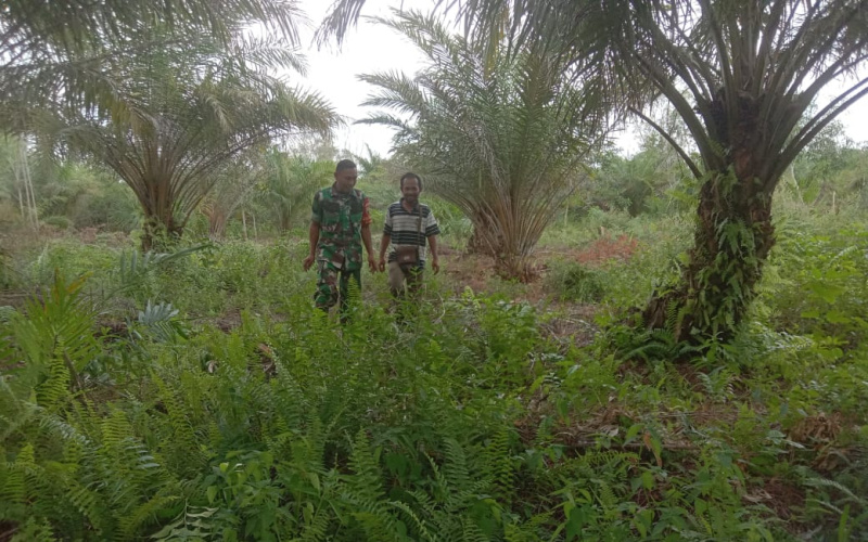 Babinsa Mundam Patroli Pengawasan Keamanan