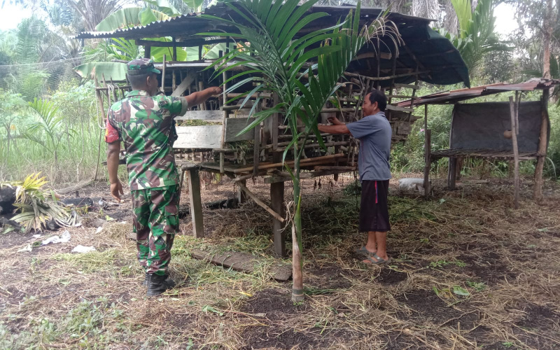 Serda Agustinus Babinsa Koramil 01 Dumai Sosialisasi Kesehatan di Peternakan