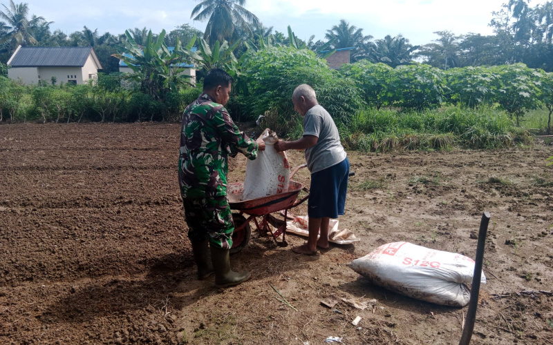 Sertu Mahyudin Lakukan Pendampingan, Bantu Petani Tanam Sayur Bayam