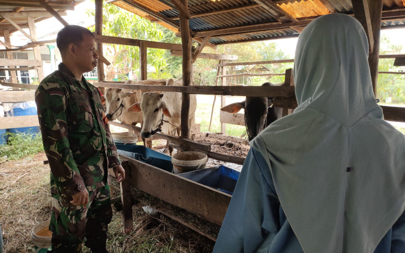 Babinsa Kodim 0320 Dumai Sertu Sutarno Giat Program PMK