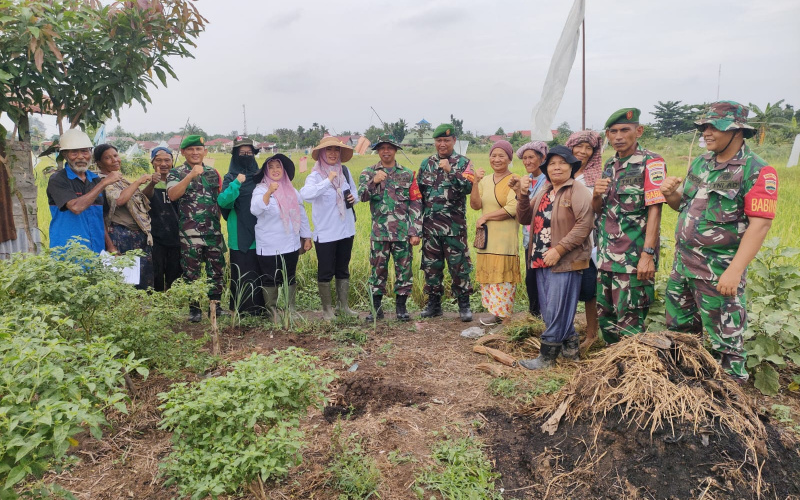 Penyuluhan Pertanian oleh Babinsa Teluk Binjai
