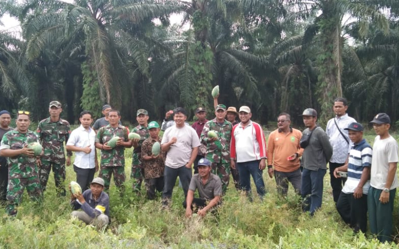 Babinsa Serka Khoiranto Lakukan Kolaborasi Terkait Penyuluhan Pertanian