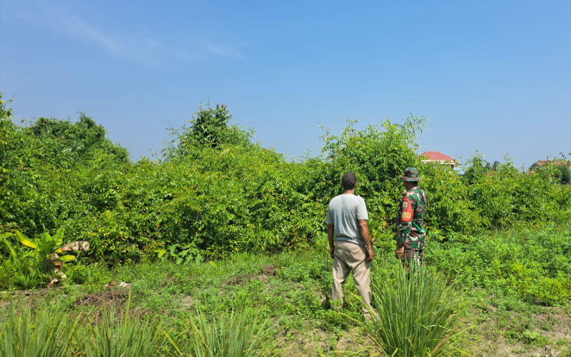 Babinsa Bukit Datuk Pastikan Wilayah Aman dari Karhutla