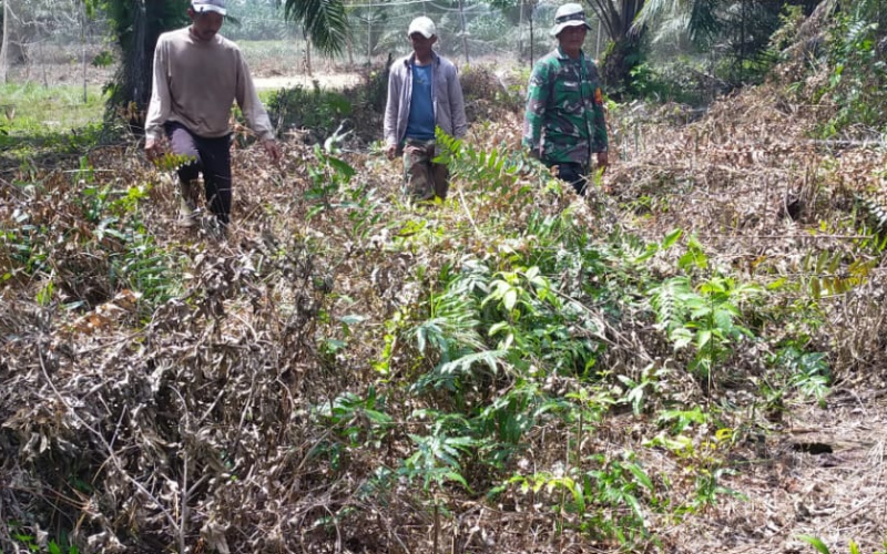 Serda Iwan Sahputra Lakukan Pencegahan Karhutla di Wilayah Rawan