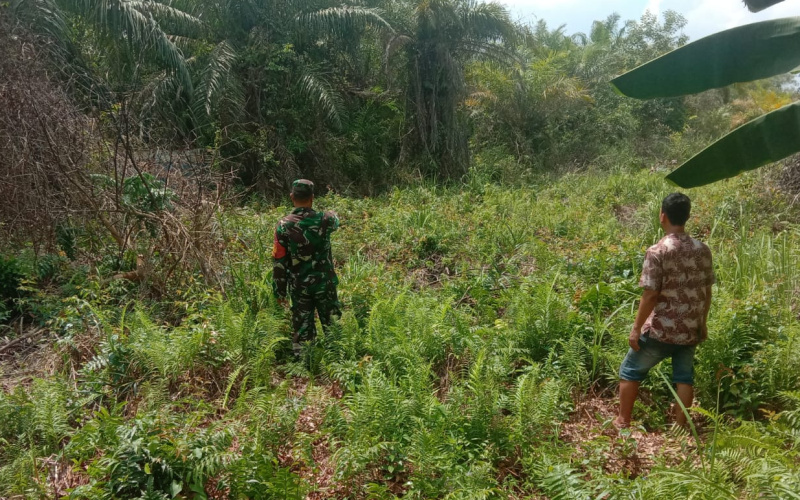 Serda Agustinus dari Koramil 01 Dumai Patroli Cegah Karhutla