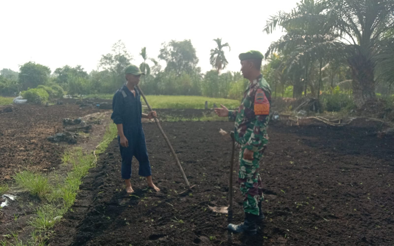 Babinsa Bagan Keladi Dampingi Petani Tingkatkan Hasil Produksi