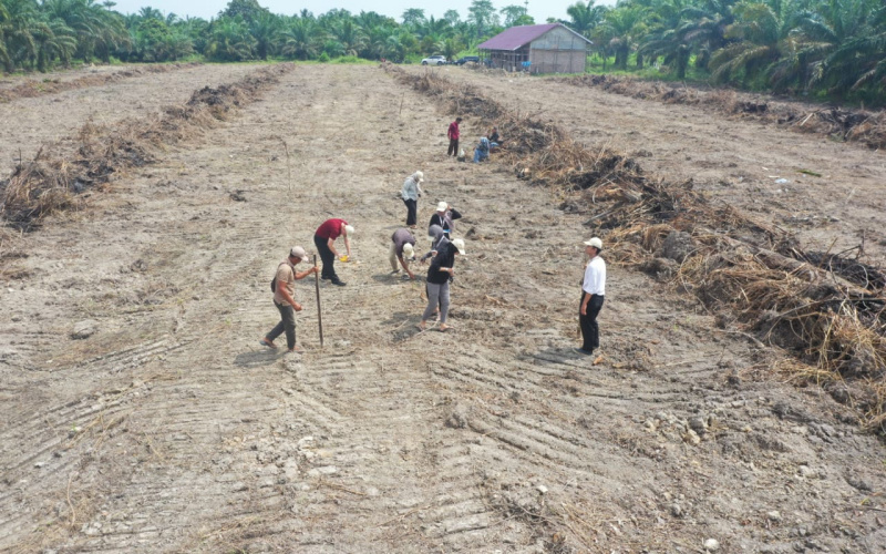 Dukung Ketahanan Pangan, Danramil 02 Sungai Sembilan Tanam Padi Gogo
