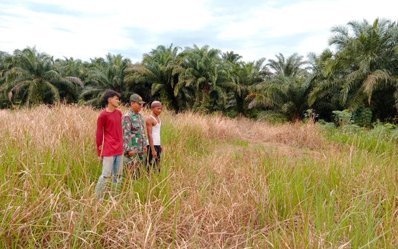 Cegah Terjadinya Karhutla, ini yang Dilakukan Babinsa Koramil 03 Sei Sembilan