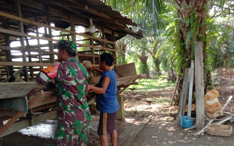 Sambangi Peternakan, Sertu Afnal Aktif Giat PMK