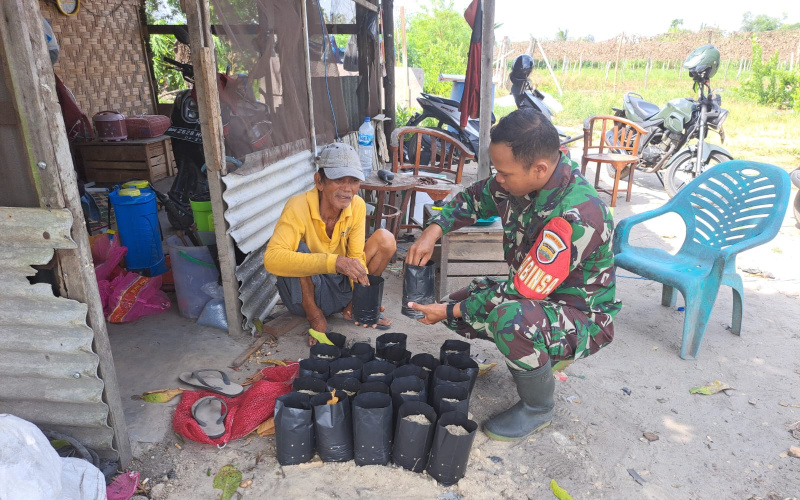 Pembibitan Jeruk Nipis, Karya Nyata Babinsa Bukit Datuk