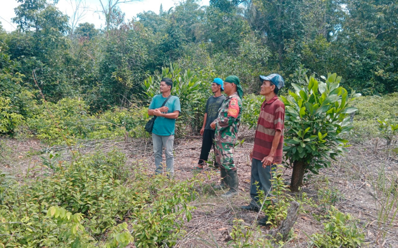Babinsa Koramil 03 Sei Sembilan Patroli Karhutla, ini Titiknya
