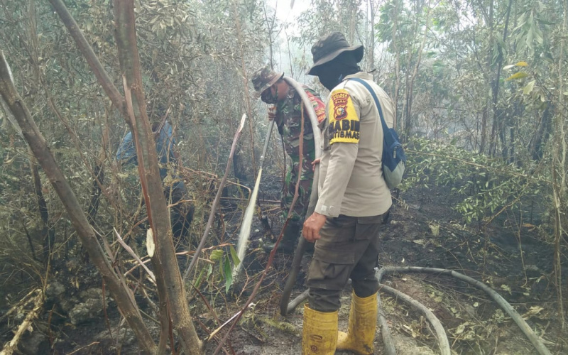 Babinsa Teluk Makmur Kembali Lakukan Pendinginan Karhutla