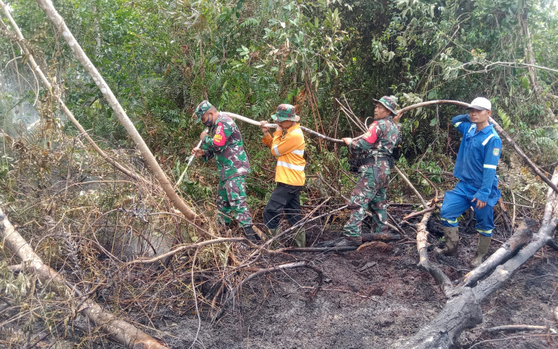 Babinsa Mekar Sari Pendinginan Karhutla, Upaya Lanjutan Setelah Kebakaran
