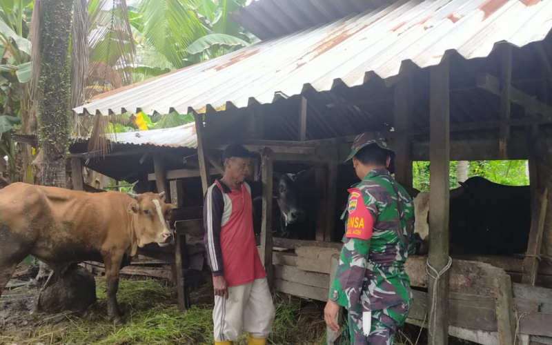 Koramil 03 Jalankan Program PMK, ini Paparan Serda Iwan