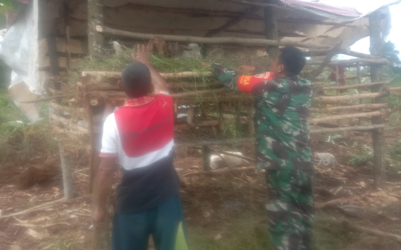 Serda SMP Sinaga Lakukan Sosialisasi PMK, ini Lokasinya