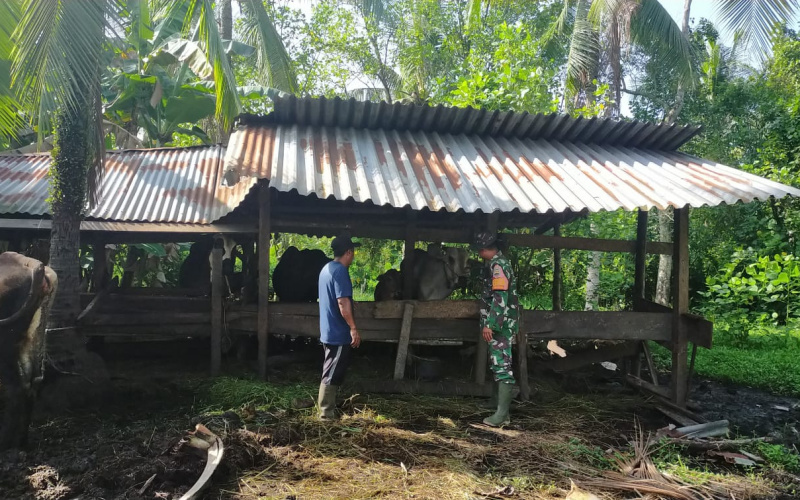 Babinsa Koramil 03 Giat PMK, Kunjungi Beberapa Peternakan