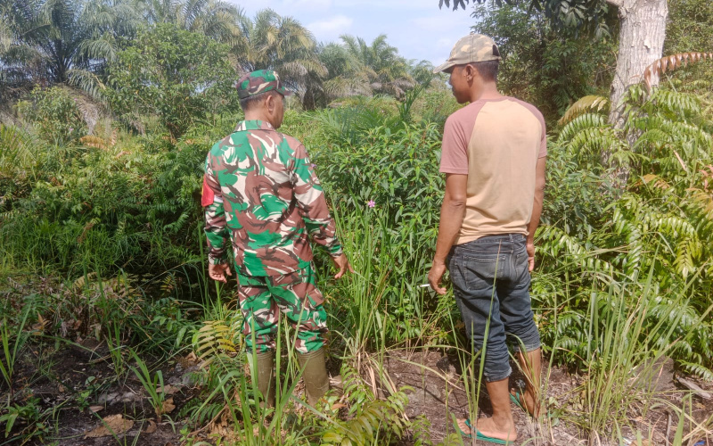 Babinsa Sertu Mahyudin Patroli Karhutla di Titik Rawan