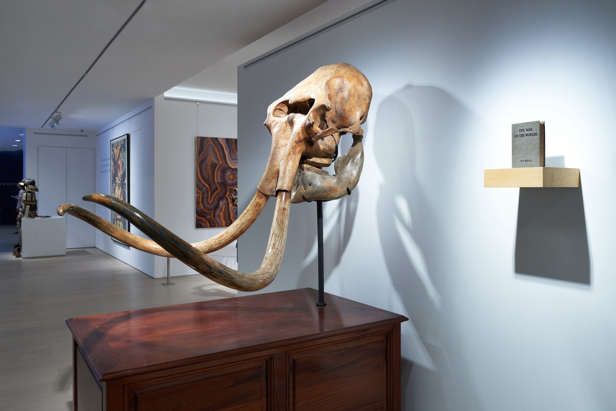 Sotheby’s Maison dan Landmark Bersama-sama Pamerkan Fosil Mamut Terbesar di Pusat Kota Hong Kong
