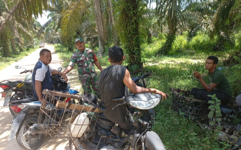 Babinsa Bukit Nenas Patroli Karhutla Bersama Tim Gabungan