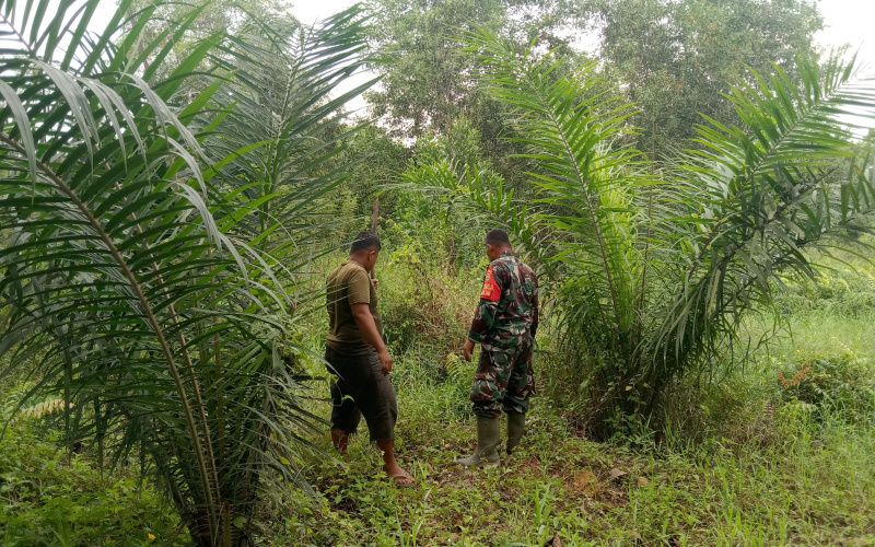 Babinsa Mekarsari Aktif Patroli, Jaga Hutan dan Lahan dari Kebakaran