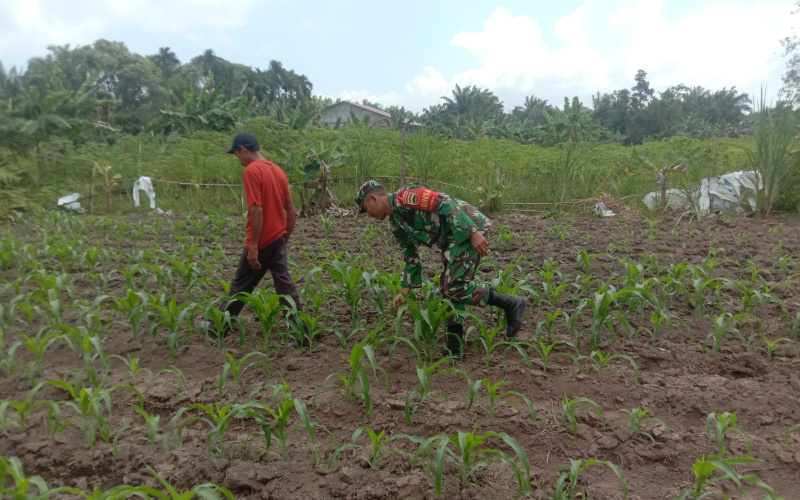 Babinsa Mundam Giat Karya Nyata, ini Paparannya