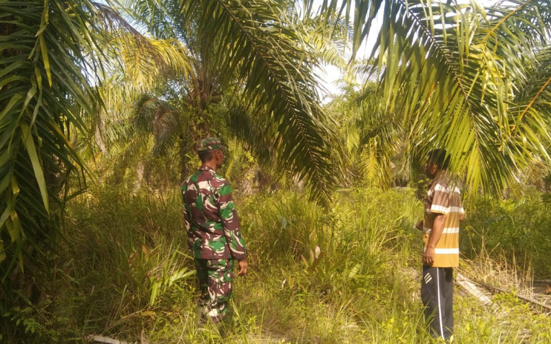 Serda Erwan Laksanakan Patroli Karhutla di Wilayah Koramil 03