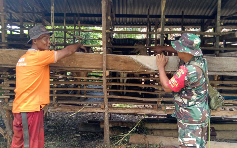 Babinsa Serka Suandi Rutin Pantau Peternakan