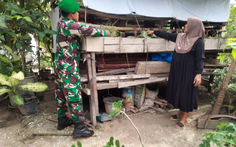 Program PMK, Babinsa STDI Bincang Dengan Para Peternak