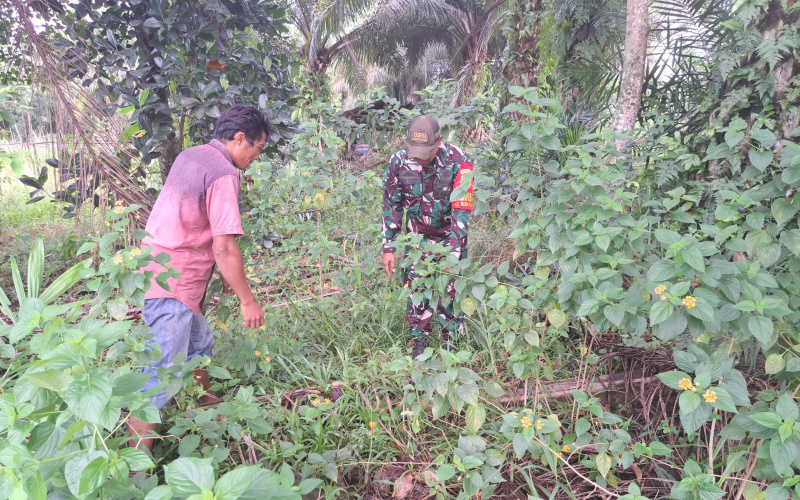 Di Wilayah Rawan, Serda Andri Widodo Laksanakan Patroli Karhutla