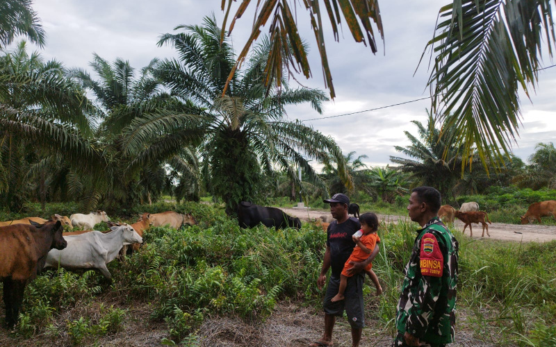Serda Miftah Sosialisasi di Peternakan, ini Paparannya