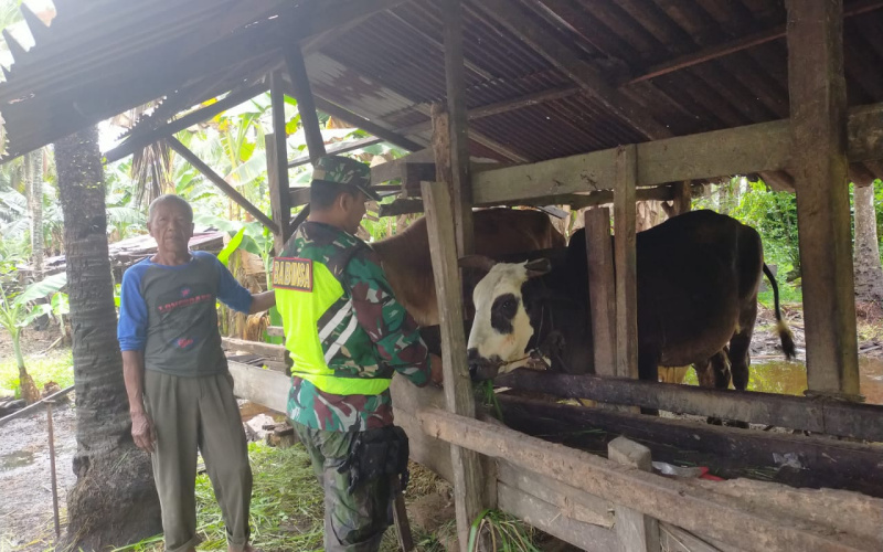 Babinsa Koramil 03 Berikan Edukasi Kepada Peternak, ini Paparannya