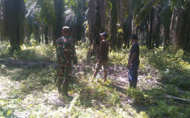 Babinsa Koramil 03 Lakukan Sosialisasi Pencegahan Karhutla