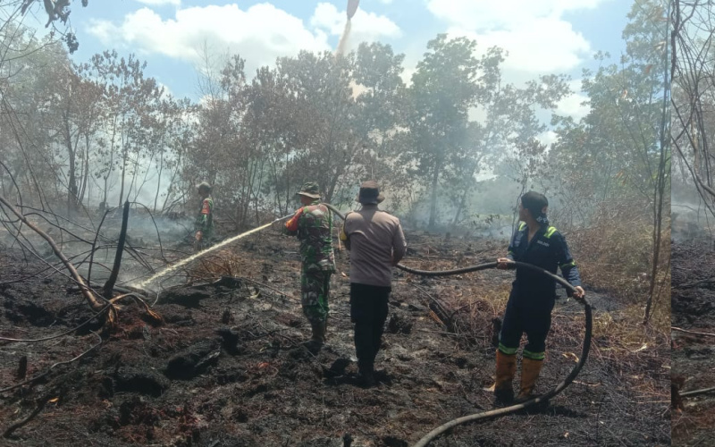 Babinsa Teluk Makmur Pendinginan Karhutla di Medang Kampai
