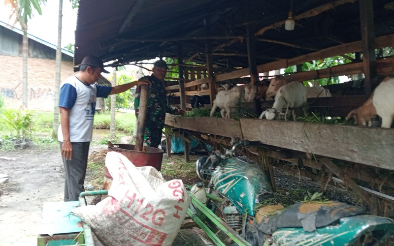 Koramil 01 Beri Dukungan Kepada para Peternak