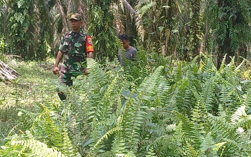 Babinsa Gurun Panjang Patroli, Imbau Masyarakat Peduli Lingkungan