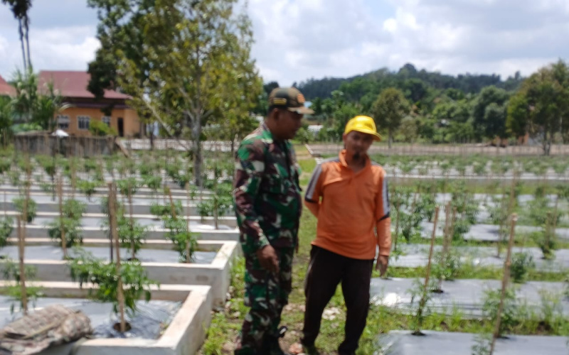 Program TNI di Bidang Ketahanan Pangan