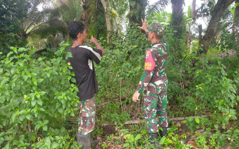 Sertu Arjuna Endar Patroli, Pastikan Wilayah Terhindar Karhutla
