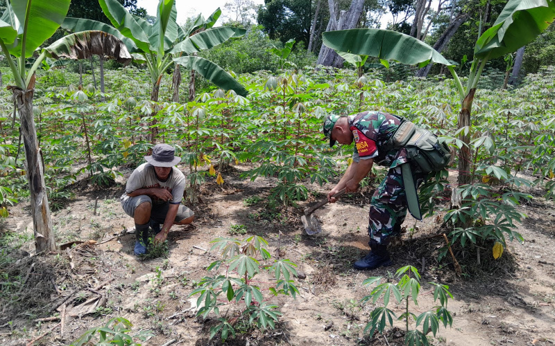 Babinsa Bukit Timah Bantu Petani Terapkan Teknik Pertanian yang Efektif