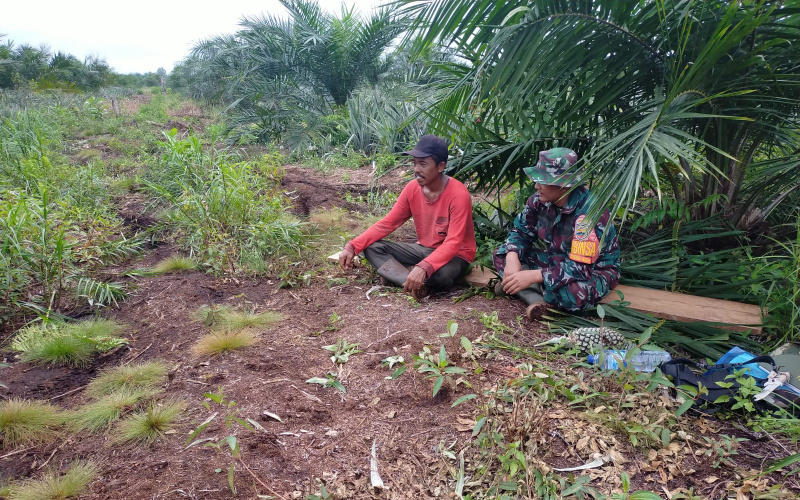 Koramil 03 Patroli, Pastikan Wilayah Terhindar dari Karhutla