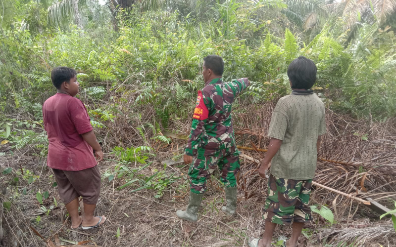 Babinsa Sertu Jainal Patroli Antisipasi Terjadi Karhutla