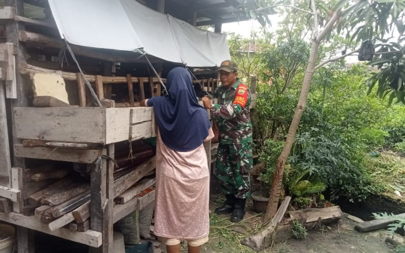 Program Rutin Babinsa Koramil 01 Dibidang Peternakan