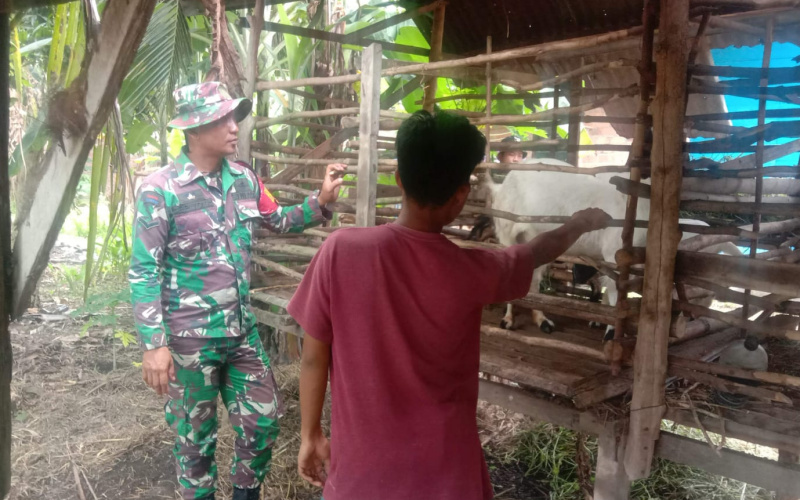 Koramil 01 Monitoring dan Dampingi Para Peternak di Wilayahnya