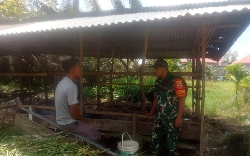 Serda Marwis Pantau Peternakan di Wilayahnya, Jalankan Program PMK