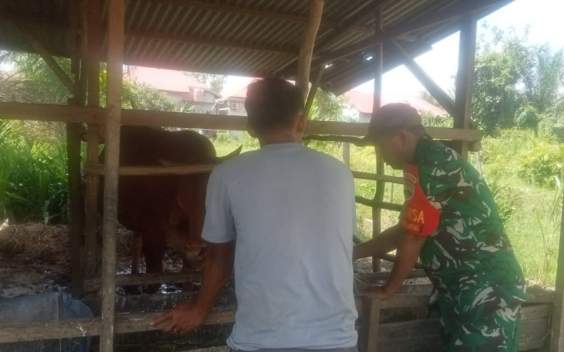 Edukasi Koramil 01 di Peternakan, Pentingnya Jaga Kebersihan